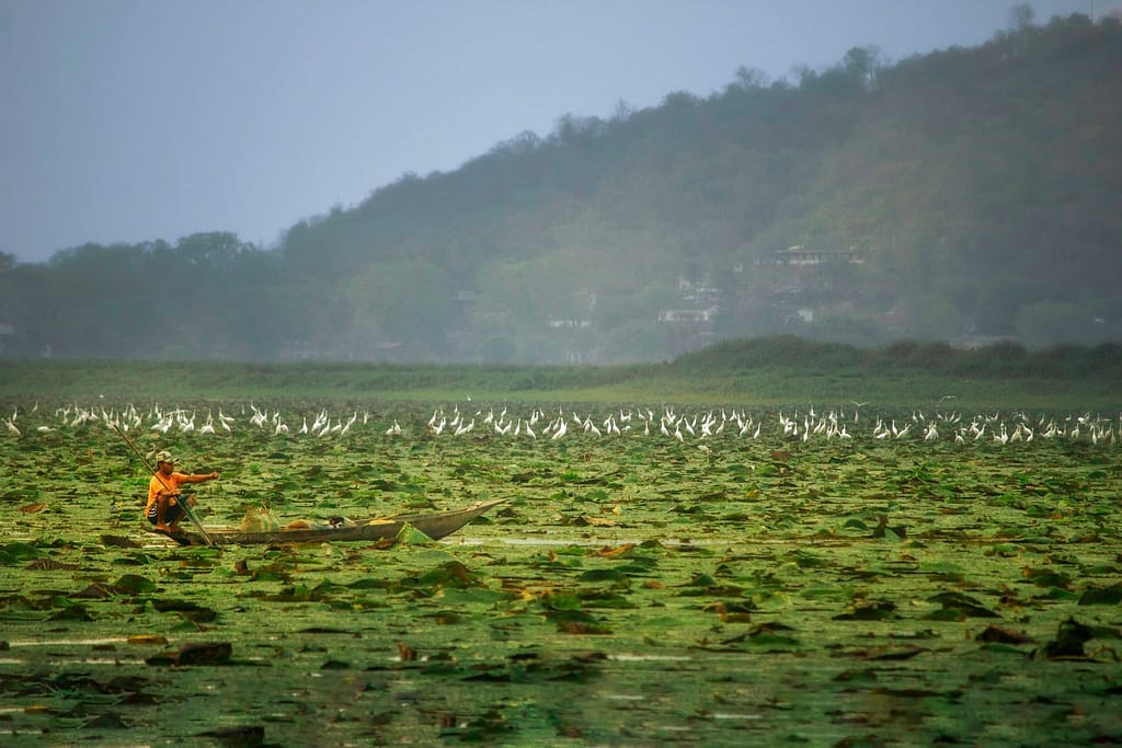 Assam