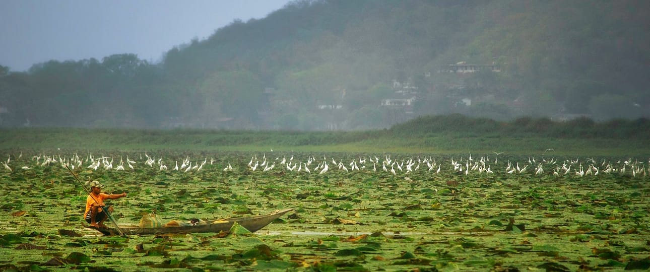 Assam