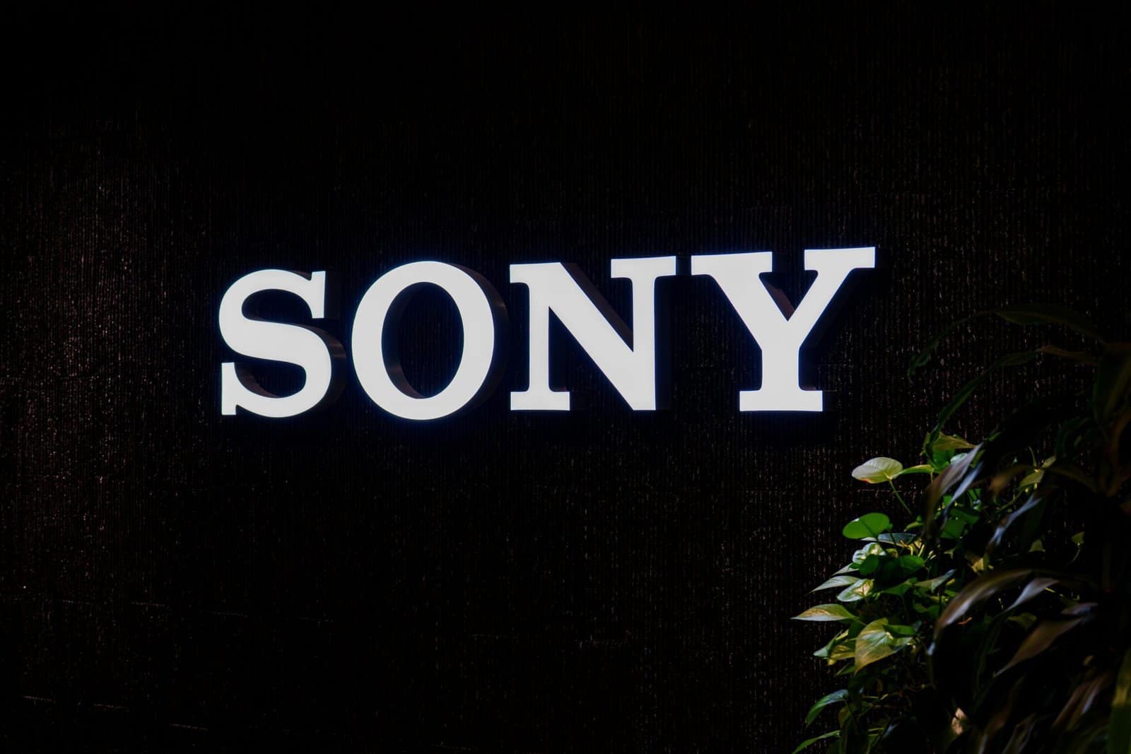 Sony Xperia 1 VIII Review: A Radical Reinvention of Sony’s Flagship Vision