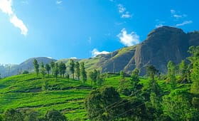 Munnar