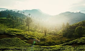 Top Places to Visit in Wayanad with Low Entry Fees
