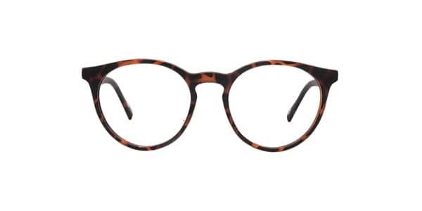 60% Discount on Clearly Owl