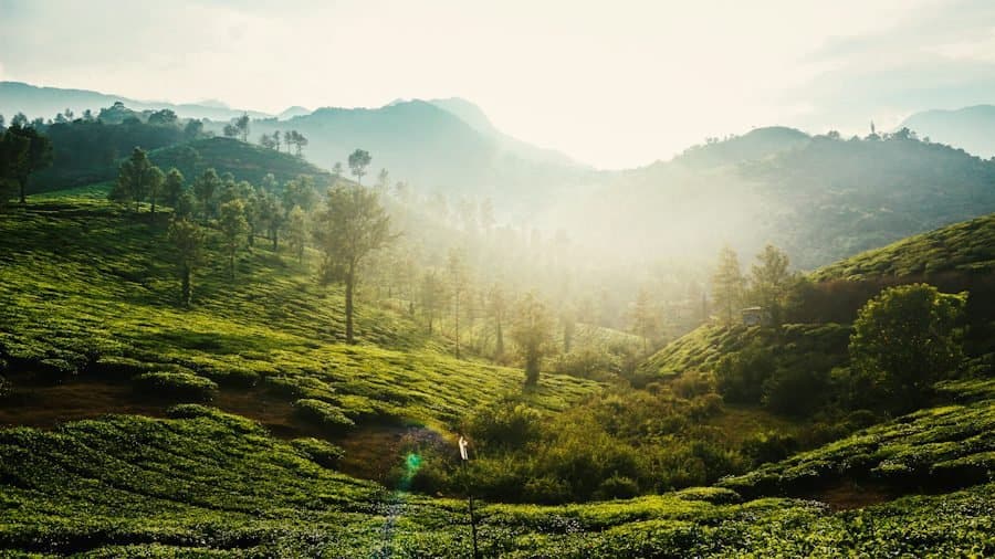 Top Places to Visit in Wayanad with Low Entry Fees