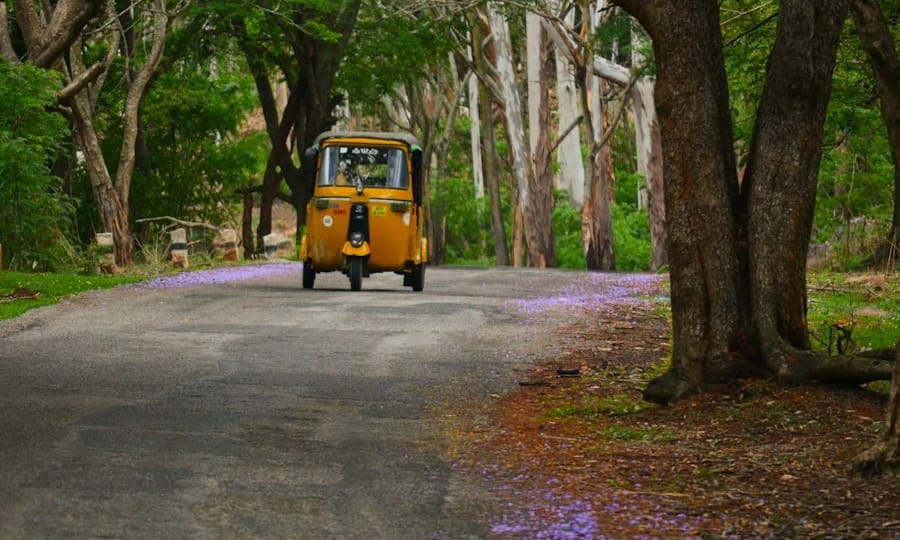 Yercaud