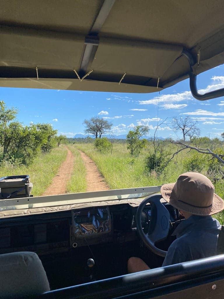 Explore the scenic beauty of Kruger Park on a guided safari tour with breathtaking landscapes.